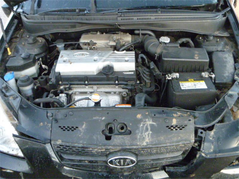 HYUNDAI ACCENT MC 2005 - 2010 1.4 - 1399cc 16v G4EE petrol Engine Image