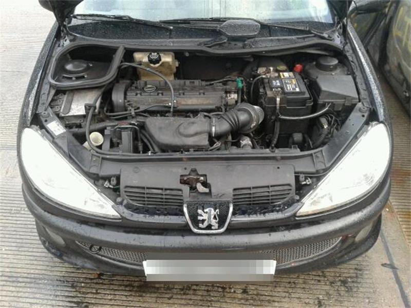 PEUGEOT 206 2A/C 2000 - 2025 2.0 - 1997cc 16v RFN(EW10J4) petrol Engine Image