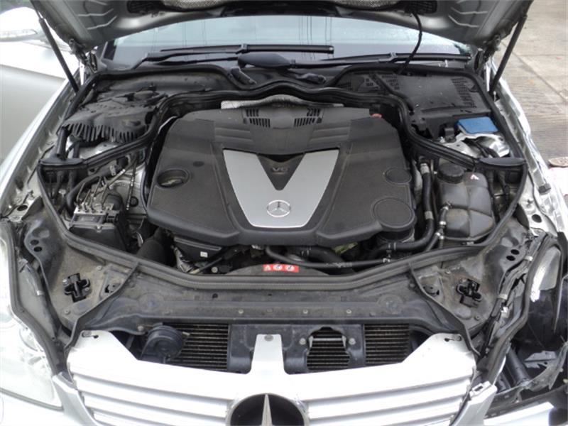 MERCEDES-BENZ E-CLASS W211 2007 - 2008 3.0 - 2987cc 24v E300BlueTEC OM642.920 diesel Engine Image