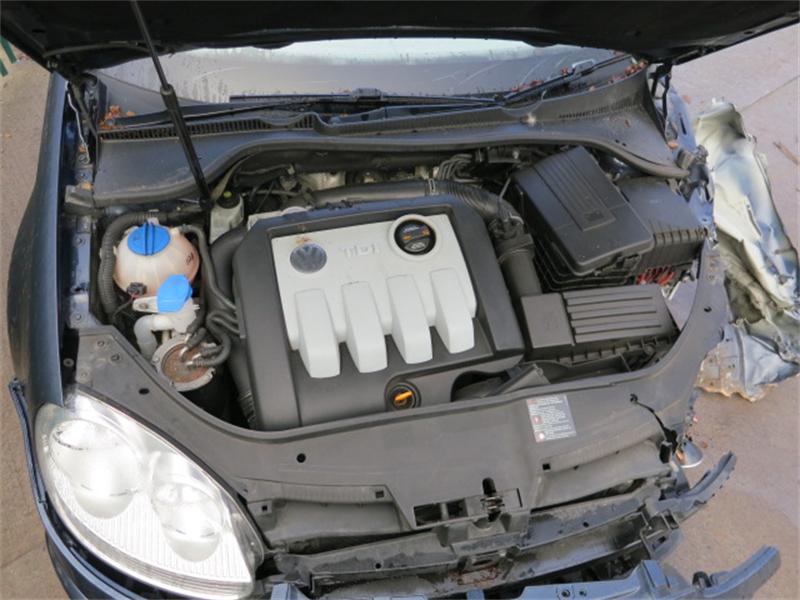 VOLKSWAGEN GOLF PLUS 5M1 2005 - 2008 1.9 - 1896cc 8v TDI BRU diesel Engine Image