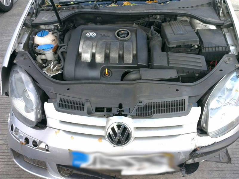 VOLKSWAGEN GOLF MK 4 1J1 2000 - 2005 1.9 - 1896cc 8v TDI ARL diesel Engine Image