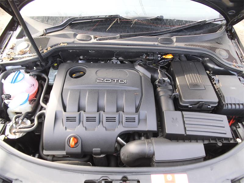 AUDI A3 8PA 2006 - 2025 2.0 - 1968cc 16v TDI CBBB diesel Engine Image