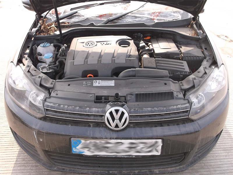 VOLKSWAGEN GOLF PLUS 521 2009 - 2025 1.6 - 1598cc 16v TDI CAYB diesel Engine Image