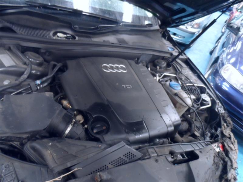 SEAT EXEO 3R5 2009 - 2025 2.0 - 1968cc 16v TDI CJCA diesel Engine Image