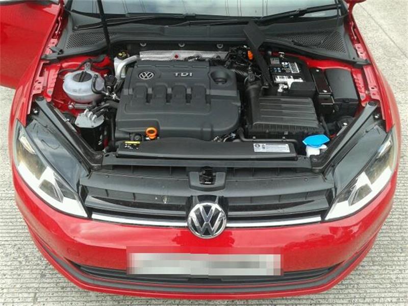 VOLKSWAGEN GOLF PLUS 521 2009 - 2025 1.6 - 1598cc 16v TDI CAYB diesel Engine Image