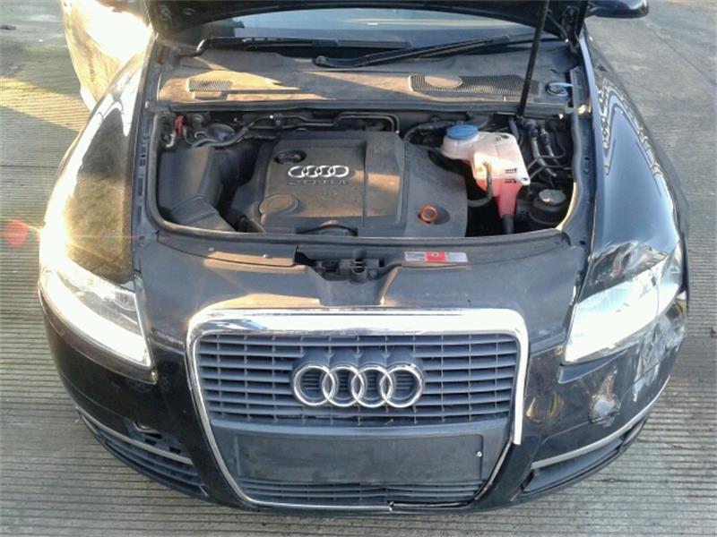 AUDI A6  4F2 2004 - 2011 2.0 - 1968cc 16v TDI BNA diesel Engine Image