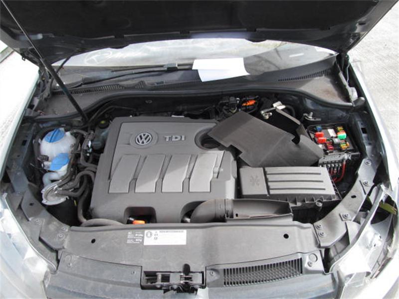 VOLKSWAGEN GOLF PLUS 521 2009 - 2025 1.6 - 1598cc 16v TDI CAYB diesel Engine Image