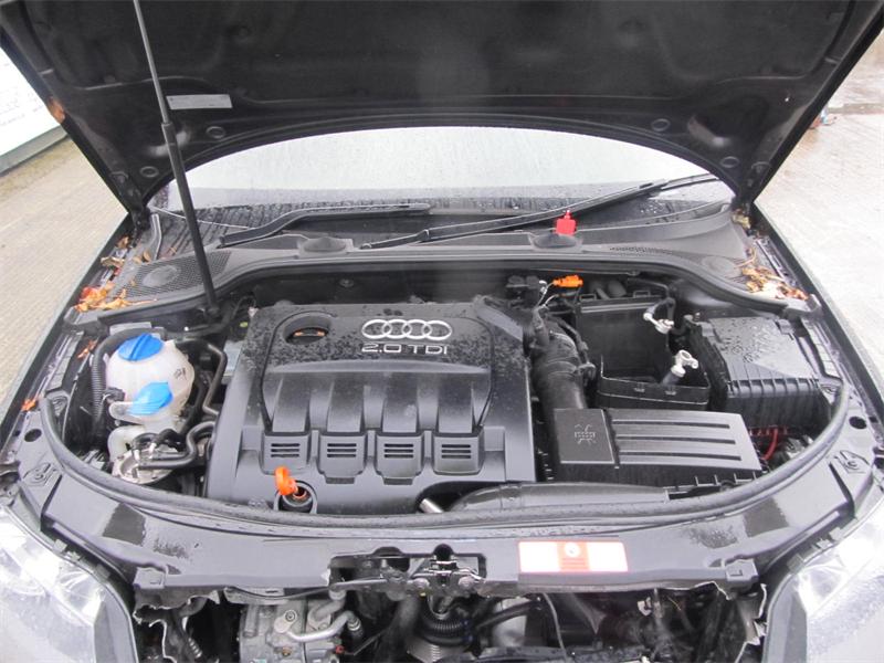 AUDI A3 8P1 2003 - 2012 2.0 - 1968cc 16v TDI CBAB diesel Engine Image