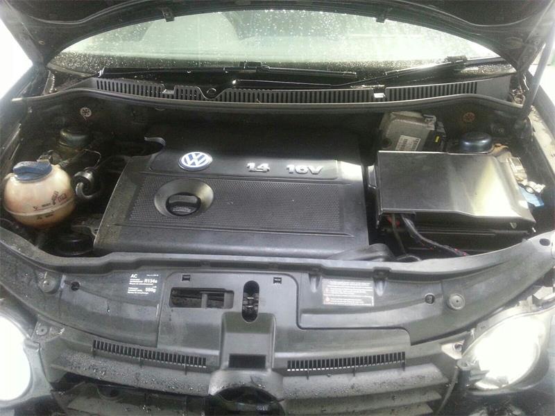 VOLKSWAGEN POLO 9N 2002 - 2006 1.4 - 1390cc 16v FSI AXU petrol Engine Image