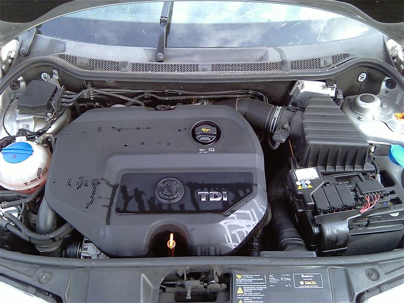 SKODA ROOMSTER 5J 2006 - 2010 1.9 - 1896cc 8v TDI BSW diesel Engine Image