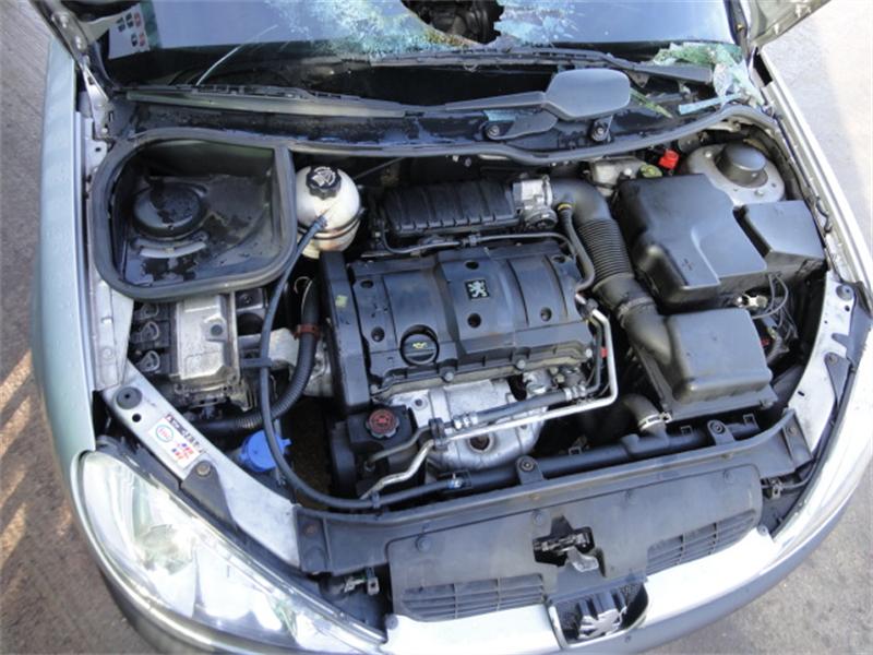 PEUGEOT 206 2A/C 2000 - 2026 1.6 - 1587cc 16v NFU(TU5JP4) petrol Engine Image