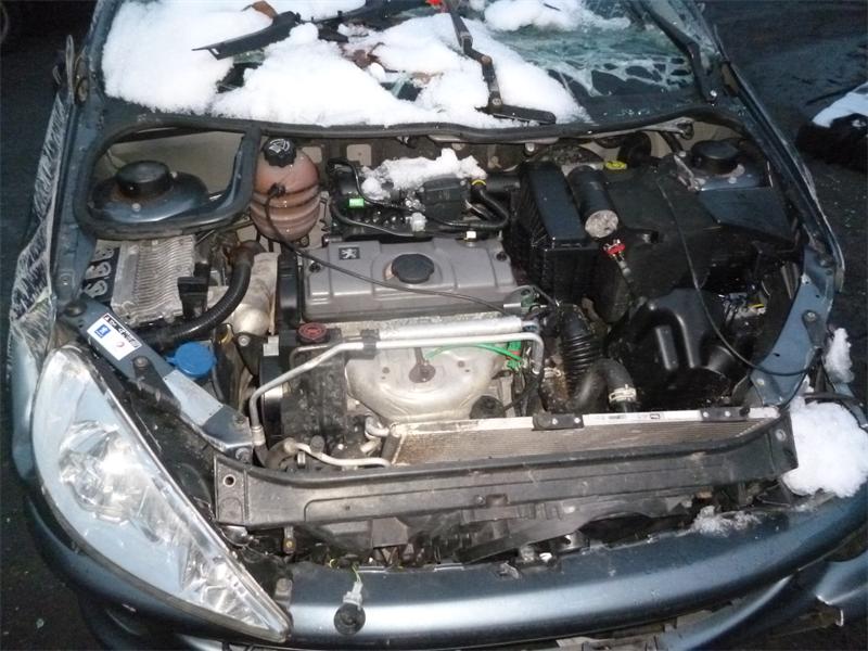 PEUGEOT 206 2A/C 2006 - 2007 1.4 - 1360cc 8v KFV(TU3JP) petrol Engine Image