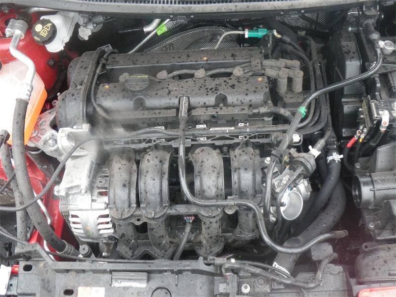 FORD FIESTA MK 6 2008 - 2025 1.3 - 1242cc 16v SNJB petrol Engine Image